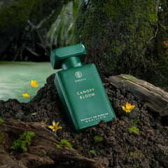 50ml