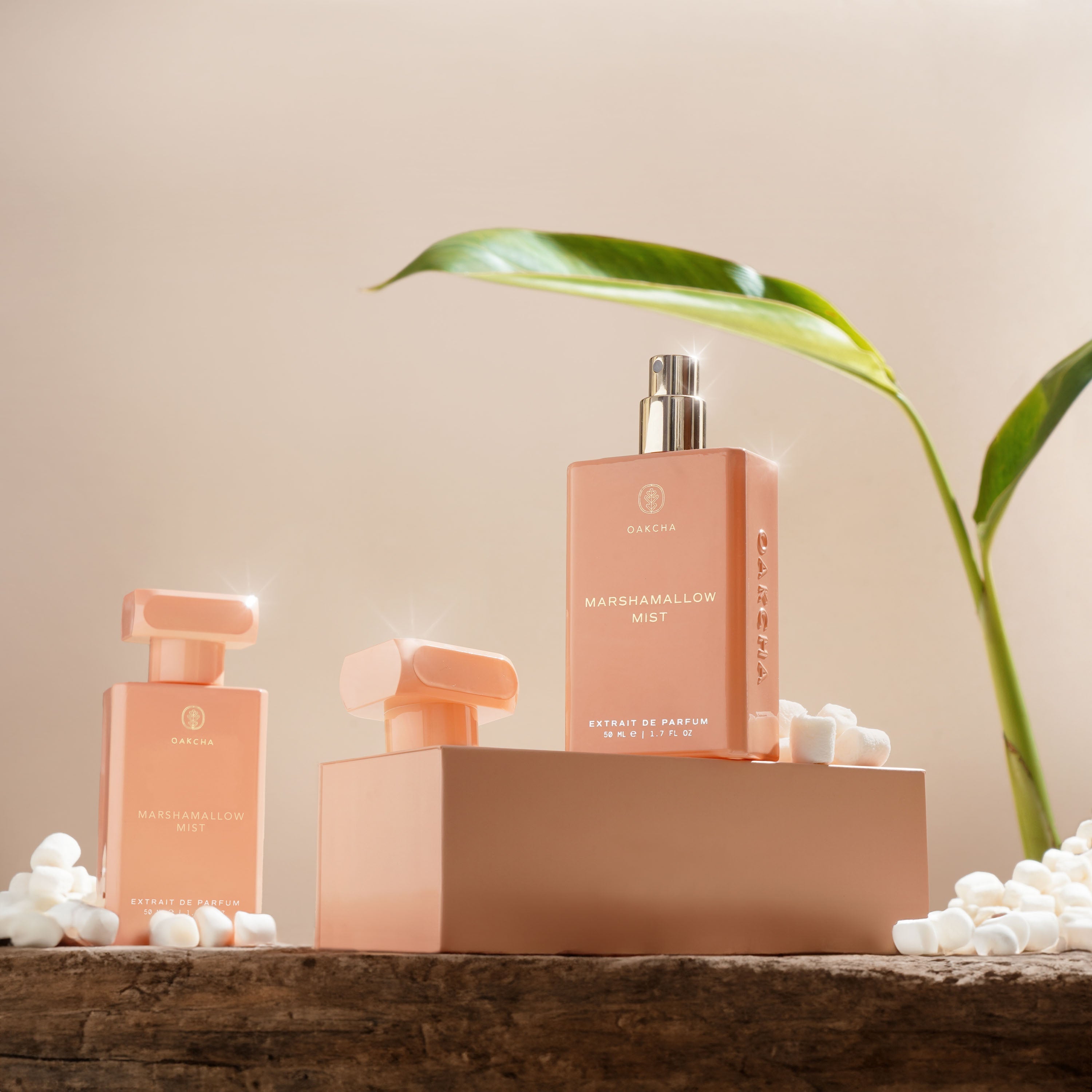 50ml