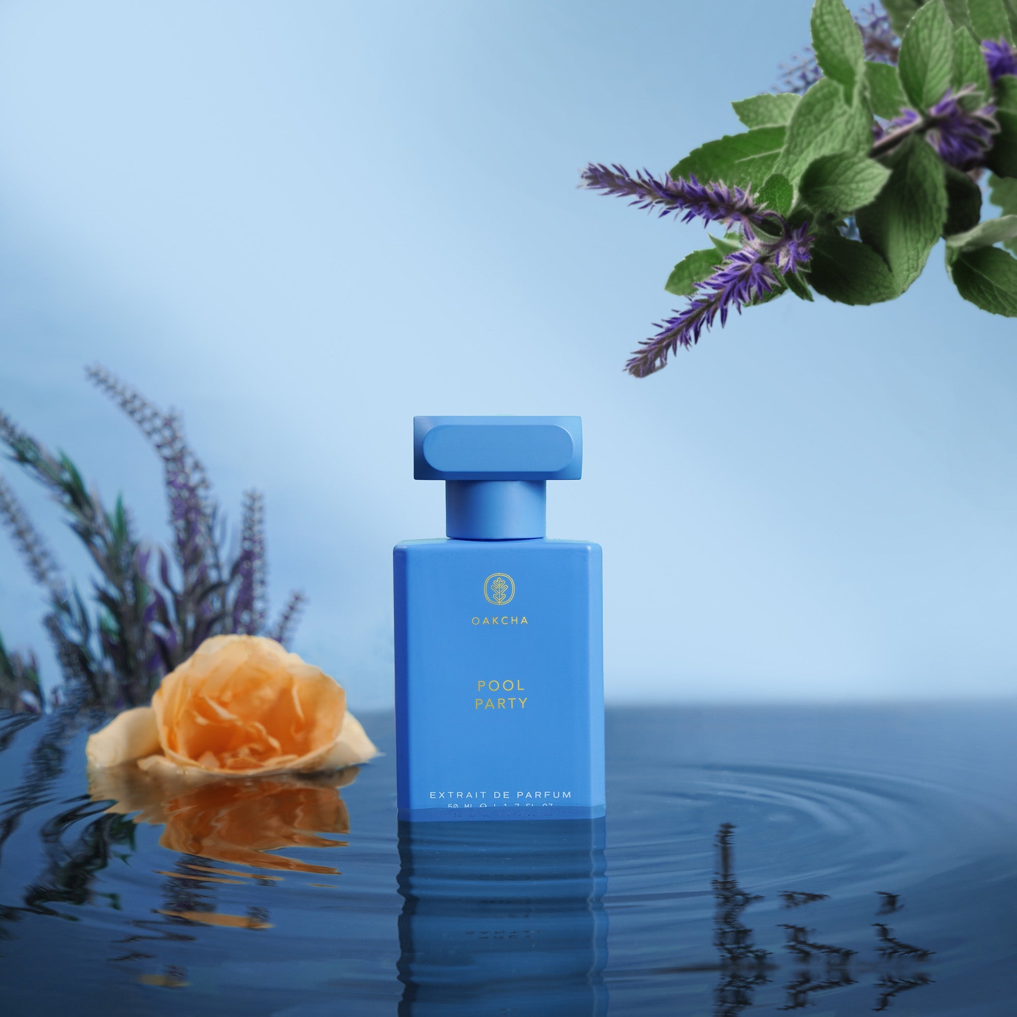 50ml